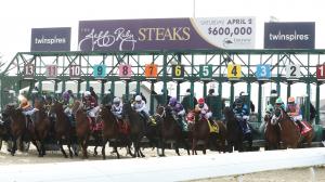 Jeff Ruby Steaks, Turfway Park, Major Dude, Congruent, Horse Racing, Kentucky Derby